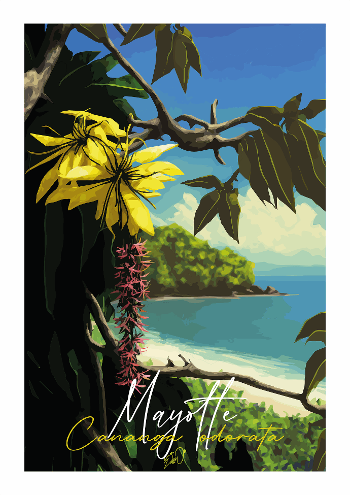 Ai - Ylang îlot